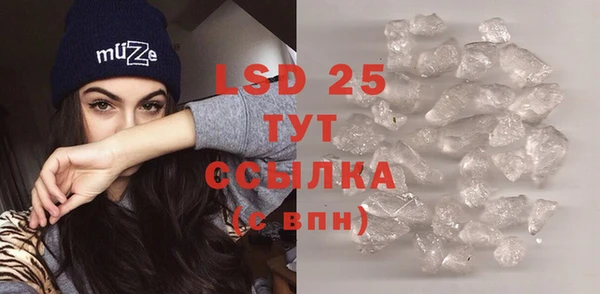 дживик Богданович