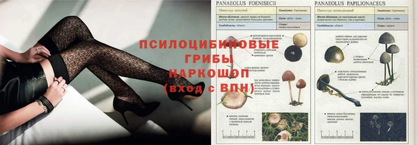mdma Богородицк