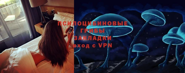 mdma Богородицк