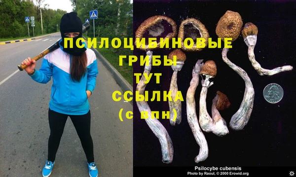 дживик Богданович
