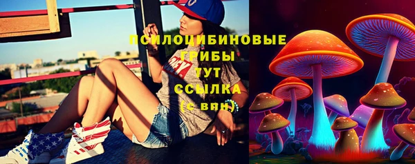 крисы Белоозёрский