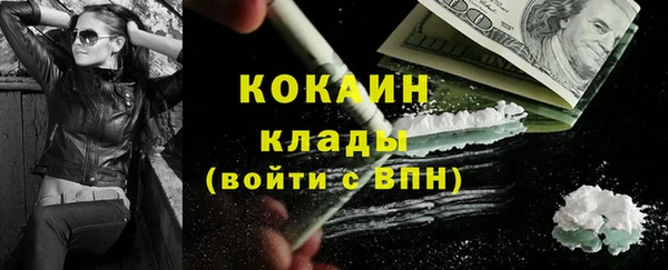 дживик Богданович