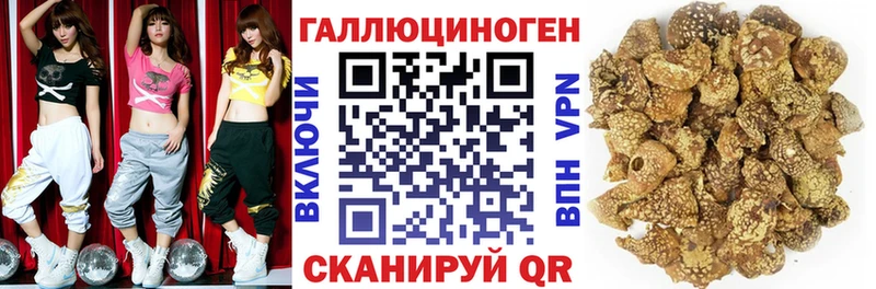 что такое наркотик  Плёс  ОМГ ОМГ tor  Галлюциногенные грибы ЛСД 
